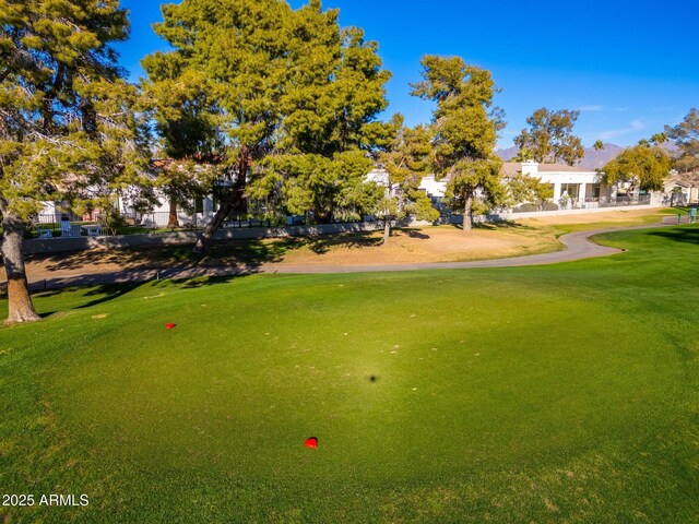 view of property's community with a yard