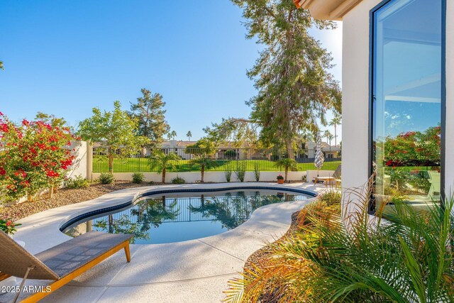 view of swimming pool with a patio