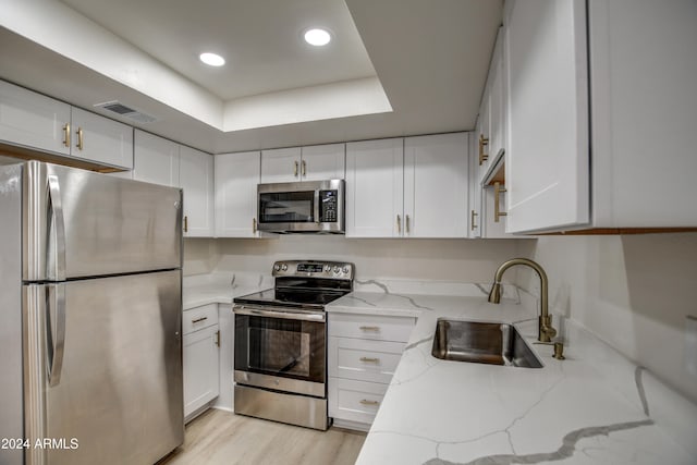 kitchen featuring sink, a raised ceiling, light stone counters, white cabinets, and appliances with stainless steel finishes