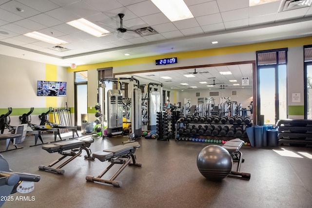 workout area with a drop ceiling and ceiling fan