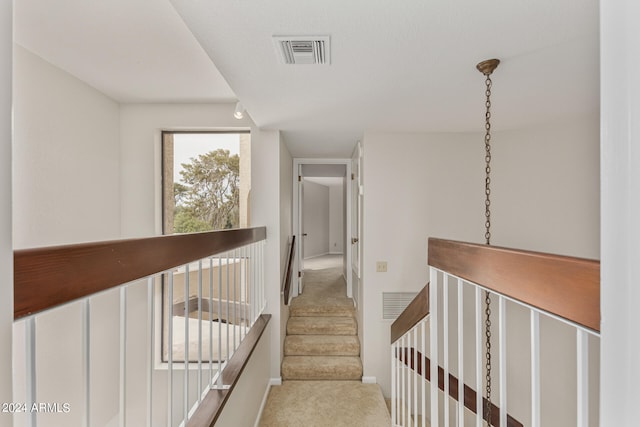 stairs with carpet floors