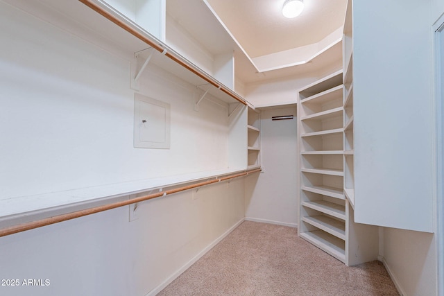 15809 S 31st St, Phoenix, AZ 85048 - walk in closet with carpet floors and electric panel