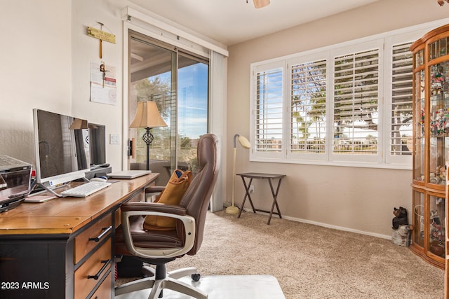 home office with carpet flooring