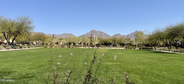 surrounding community featuring a rural view, a lawn, and a mountain view