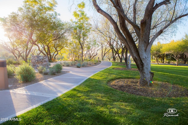 view of home's community with a yard