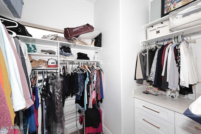 view of spacious closet