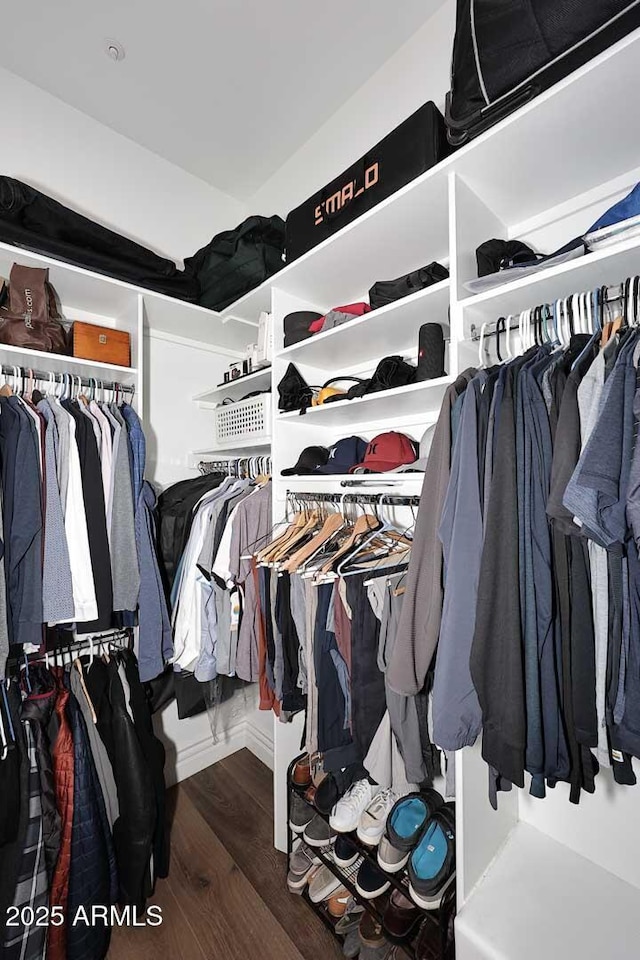 spacious closet featuring hardwood / wood-style floors