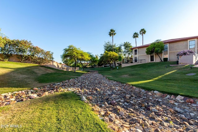 10410 N Cave Creek Rd Unit 2030, Phoenix, AZ 85020 - view of grassy yard