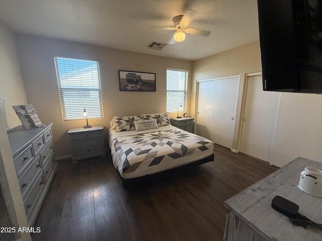 bedroom featuring dark wood-style floors, visible vents, multiple windows, and multiple closets