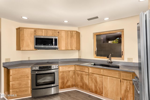 kitchen featuring sink, dark hardwood / wood-style floors, and appliances with stainless steel finishes