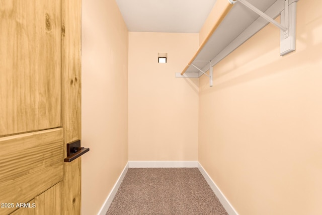 walk in closet featuring carpet floors