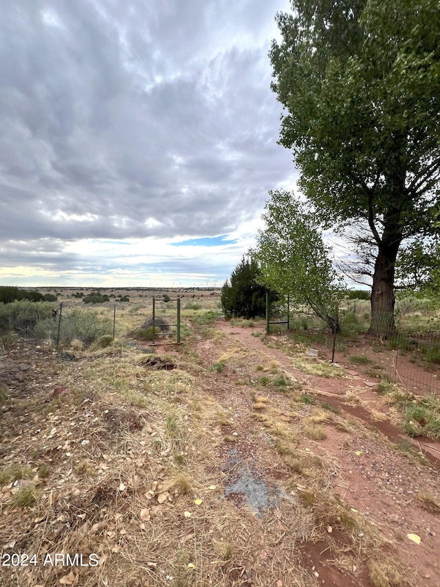 view of yard featuring a rural view