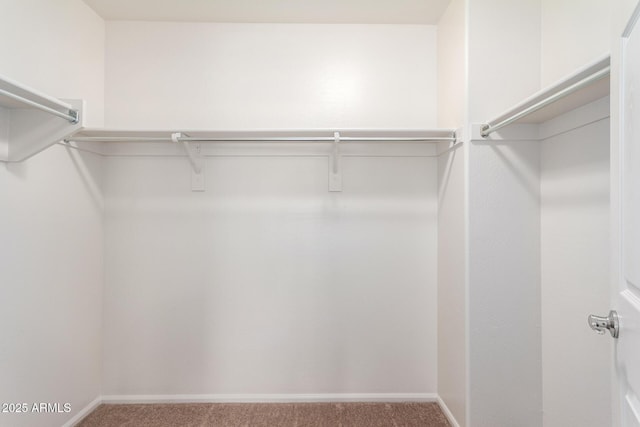 1950 N Center St Unit 115, Mesa, AZ 85201 - spacious closet featuring carpet