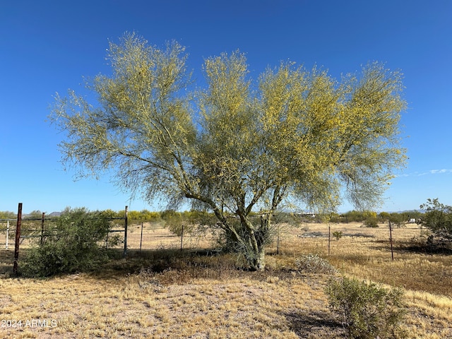 view of yard with a rural view