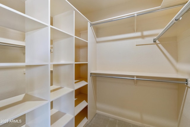 walk in closet featuring carpet floors