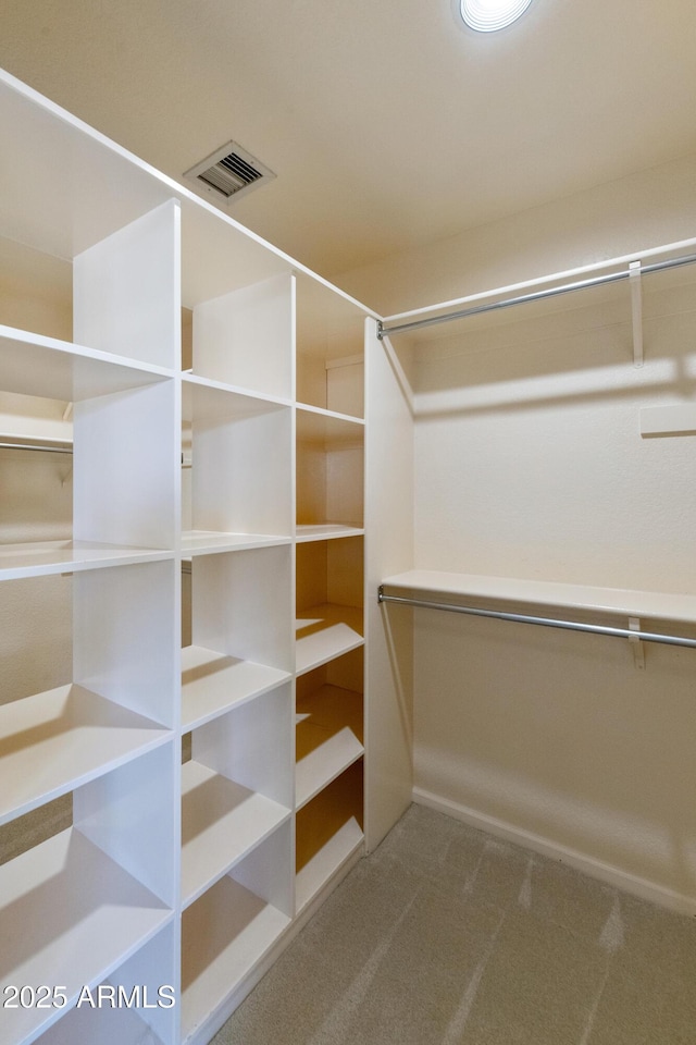 spacious closet with carpet