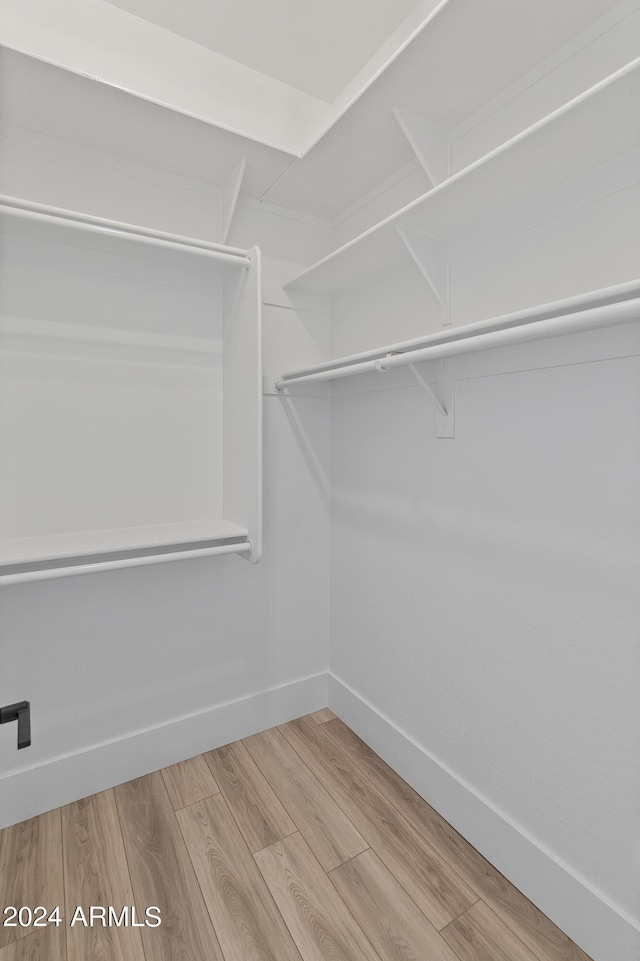 spacious closet featuring wood-type flooring