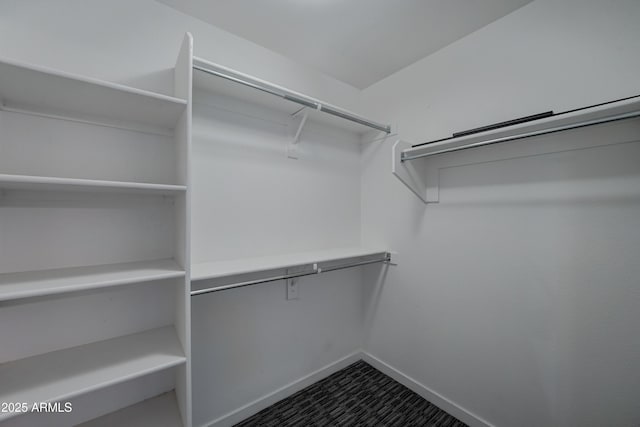 spacious closet with carpet