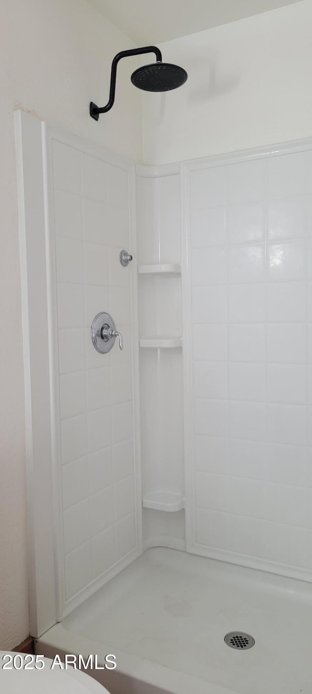 321 S Bridge St, Superior, AZ 85173 - bathroom featuring a shower
