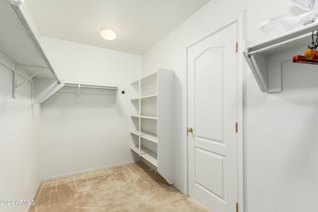 walk in closet featuring carpet