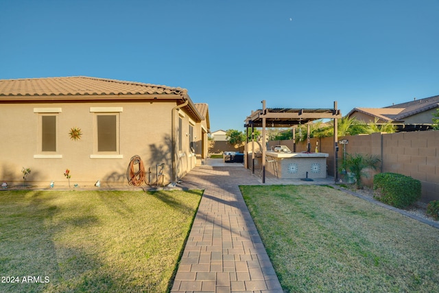 view of yard with an outdoor kitchen