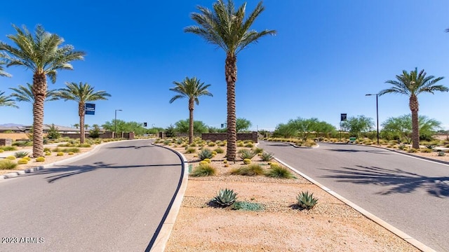 view of street featuring street lights and curbs