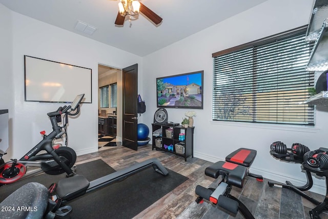 exercise area featuring dark hardwood / wood-style floors and ceiling fan