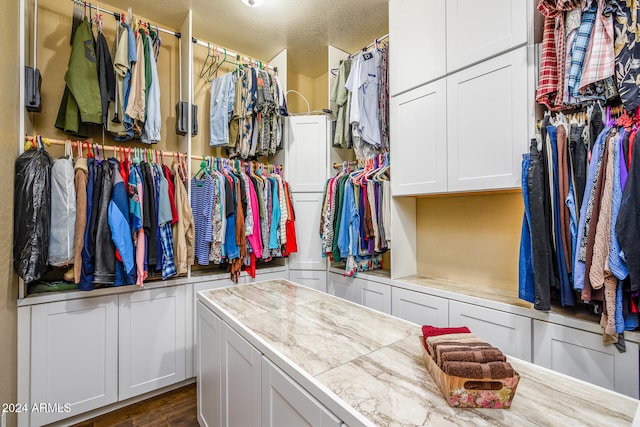 walk in closet featuring dark hardwood / wood-style floors