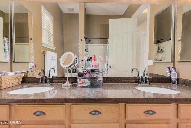 10529 E Posada Ave, Mesa, AZ 85212 - full bath featuring double vanity