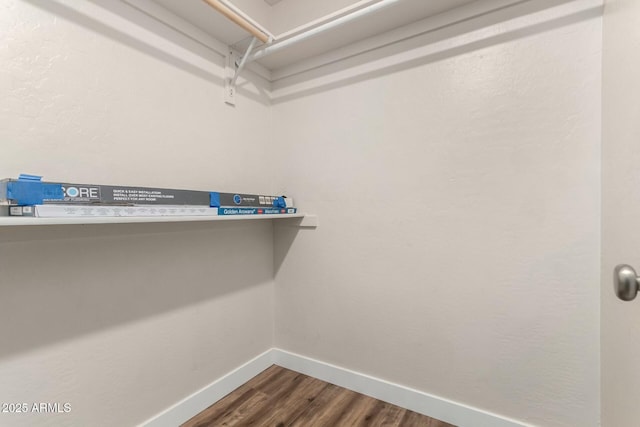 spacious closet featuring hardwood / wood-style flooring