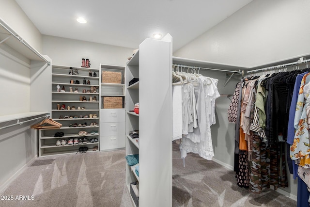 spacious closet with carpet