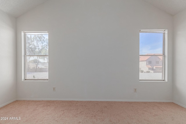 carpeted empty room with lofted ceiling, a textured ceiling, and a wealth of natural light