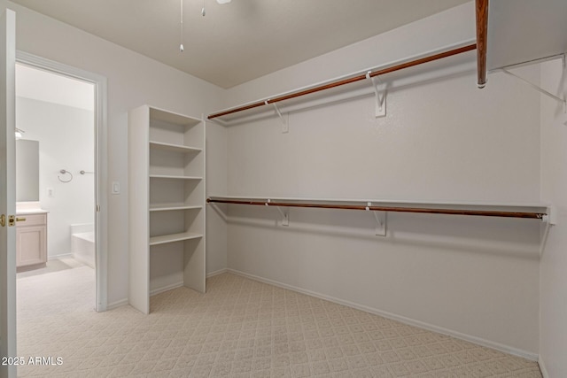 walk in closet featuring light colored carpet