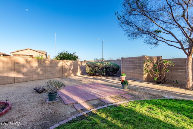 view of yard with a patio area and a fenced backyard