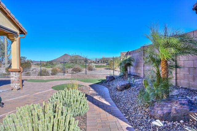 view of yard featuring a patio