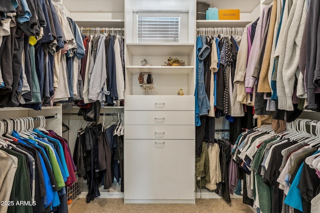 732 W Flintlock Way, Chandler, AZ 85286 - spacious closet featuring carpet flooring