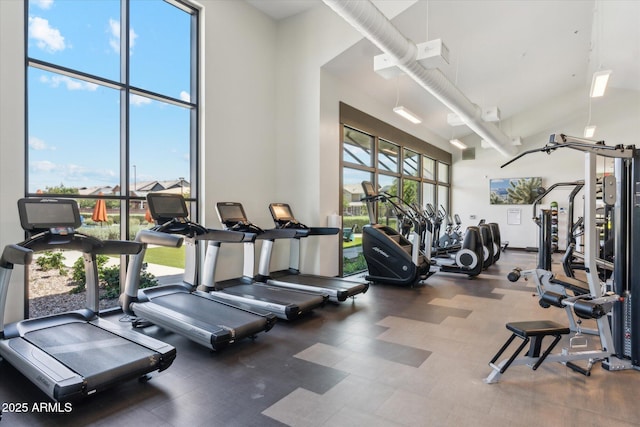 732 W Flintlock Way, Chandler, AZ 85286 - exercise room with a towering ceiling
