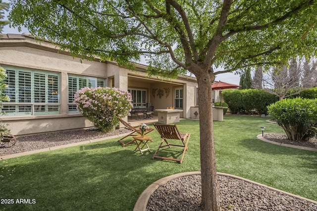 4497 E Ficus Way, Gilbert, AZ 85298 - rear view of house with a patio, stucco siding, and a yard