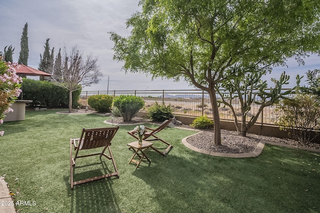 4497 E Ficus Way, Gilbert, AZ 85298 - view of yard with a fenced backyard
