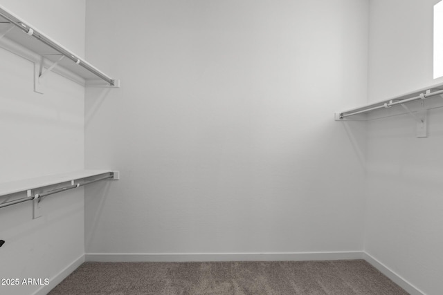 2149 W Rowel Rd, Phoenix, AZ 85085 - walk in closet featuring carpet floors