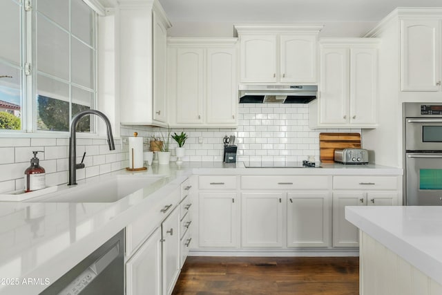 kitchen with tasteful backsplash, white cabinets, range hood, stainless steel appliances, and a sink