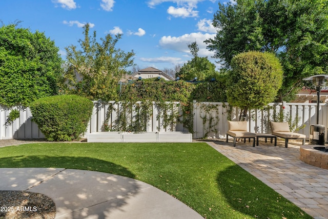 view of yard featuring a patio area and a fenced backyard