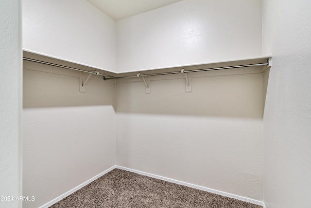 walk in closet with carpet floors