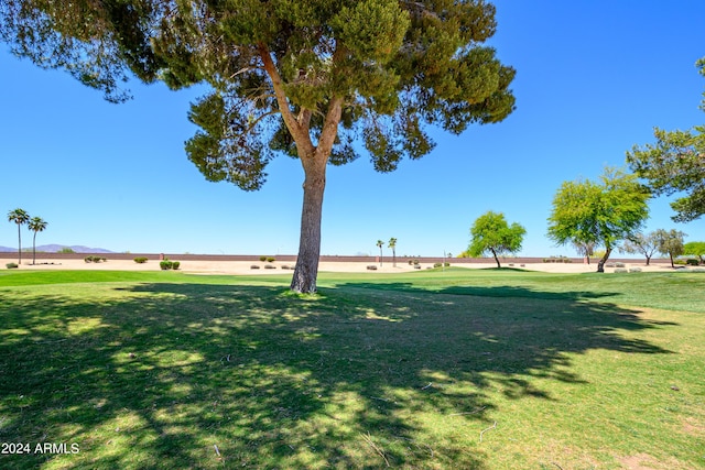 19892 N Shadow Mountain Dr, Surprise, AZ 85374 - view of community featuring a yard