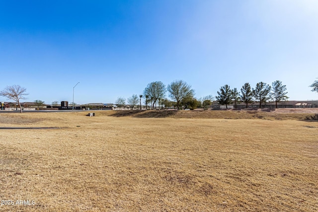 view of yard with a rural view