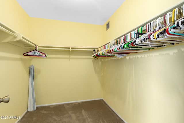 4062 W Mescal St, Phoenix, AZ 85029 - walk in closet with carpet floors