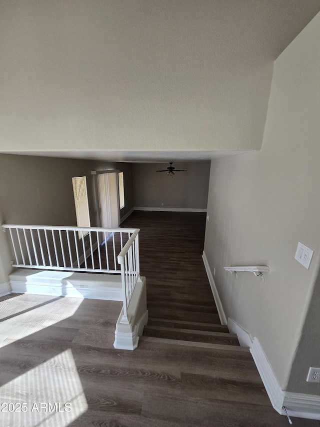 staircase featuring ceiling fan and hardwood / wood-style floors