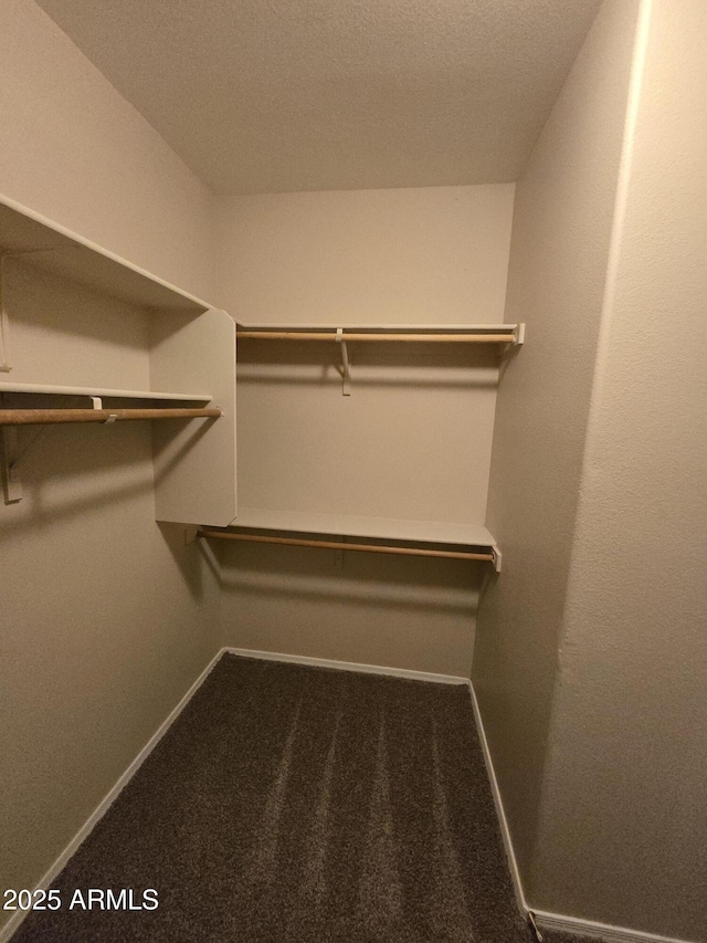 walk in closet featuring carpet floors