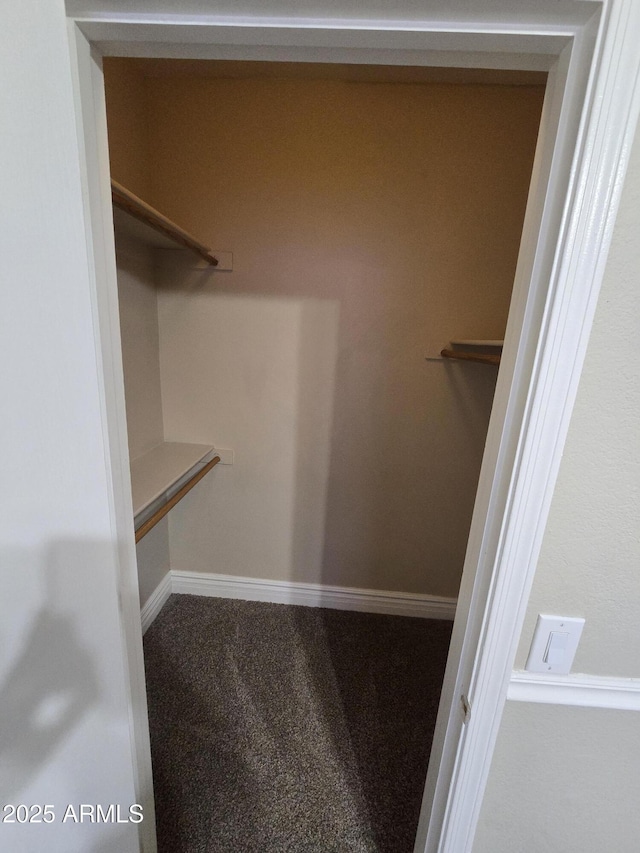 spacious closet with carpet floors