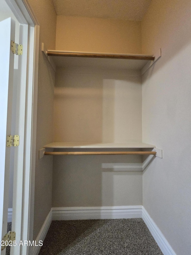 spacious closet featuring carpet